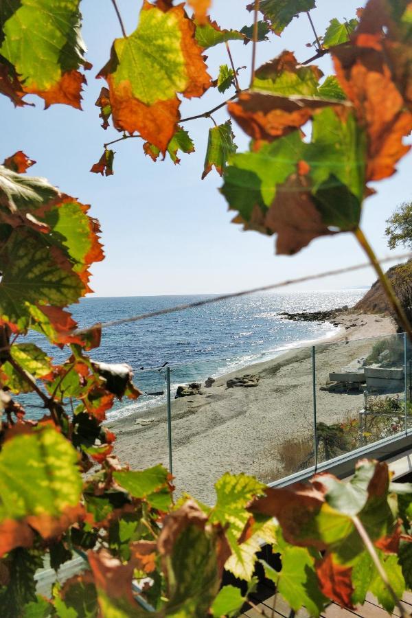 Beach Villa Varna - Cosiness 4 Meters From The Sea Dış mekan fotoğraf